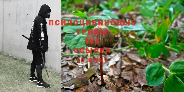 твердый Белокуриха