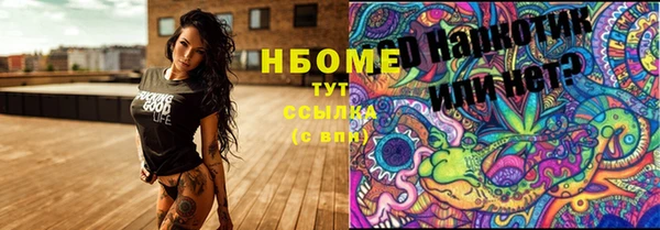 твердый Белокуриха