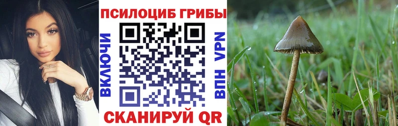 Купить закладки  Фокино  Галлюциногенные грибы Cubensis 